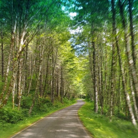 Meet your Posher, Kimmie May - Picture 1 of 1